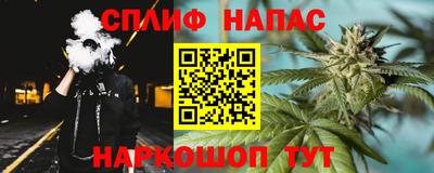 мдпв Пугачёв