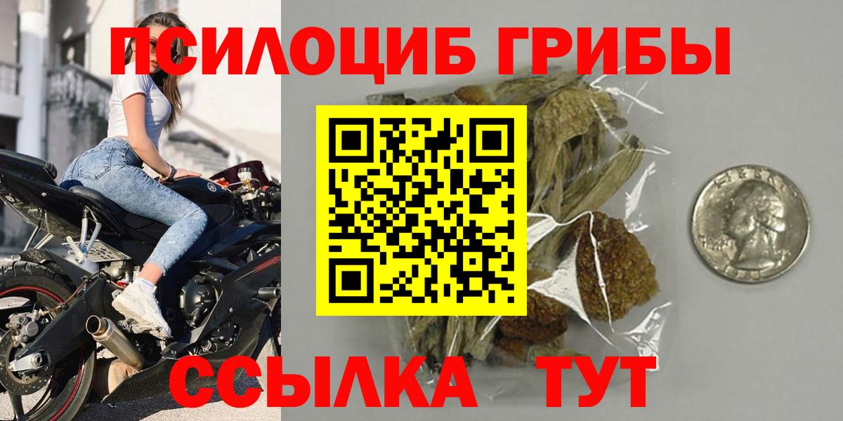 Псилоцибиновые грибы Psilocybe Ртищево